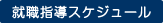 就職指導スケジュール